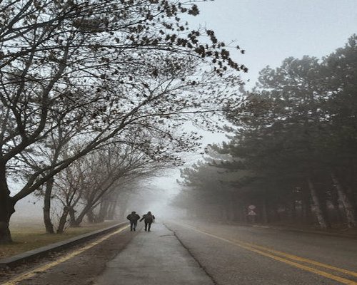 Two people walking outside through a foggy path during fresh autumn weather